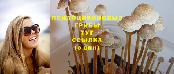 амф Аркадак