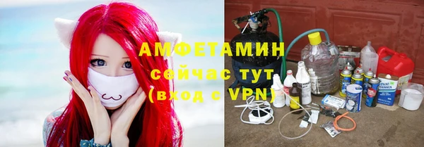 амф Аркадак