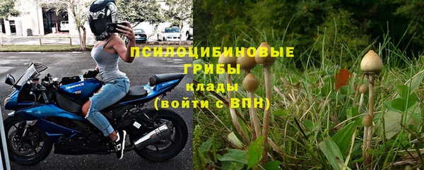 spice Армянск