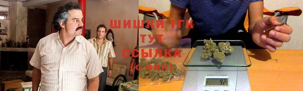 амф Аркадак