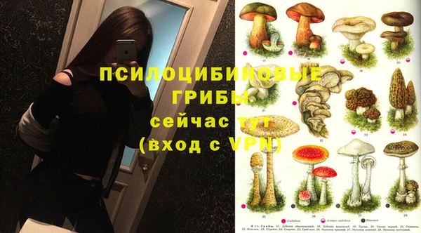 герыч Арсеньев