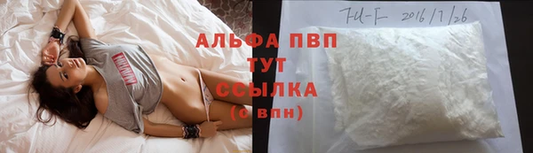 амф Аркадак
