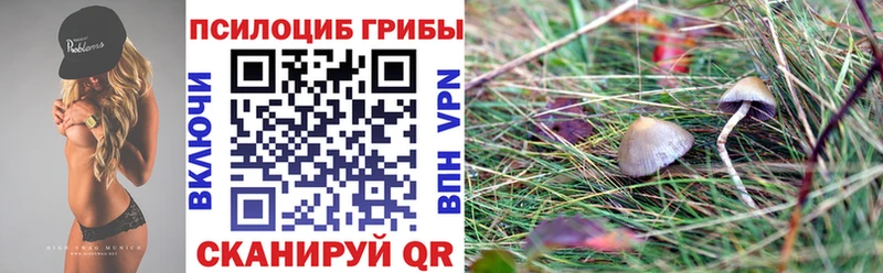 ссылка на мегу   где продают наркотики  Валдай  Псилоцибиновые грибы ЛСД 